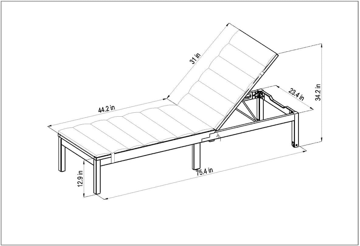 Toledo Lounger (Set of 2) | Teak Finish with Cushion | Ideal for Patio and Backyard